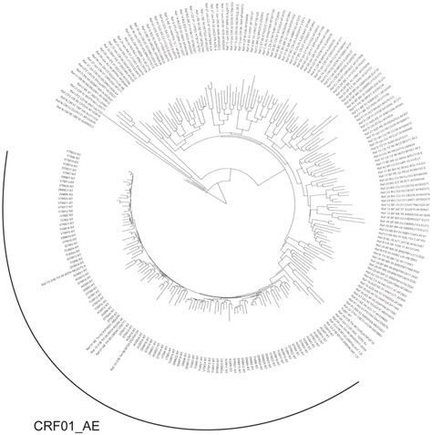 Phylogenic analysis of RT sequences of 125 Vietnamese HIV-1 patients. | Download Scientific Diagram