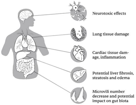 Ijms Free Full Text Tio2 Nanoparticles And Their Effects On