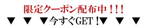 楽天スーパーセール50％off商品特集 バーニヴァーノ サンタフェ ガルフィー／わんわん洋品店