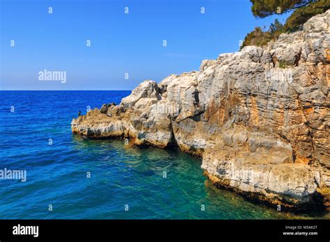 Rocky Coastline On The Istrian Peninsula On The Adriatic Sea In Croatia