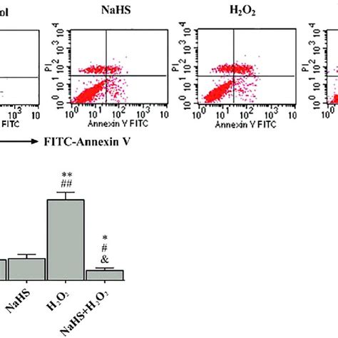 Hydrogen Sulfide H 2 S Protected H9c2 Cells Against H 2 O 2 Induced