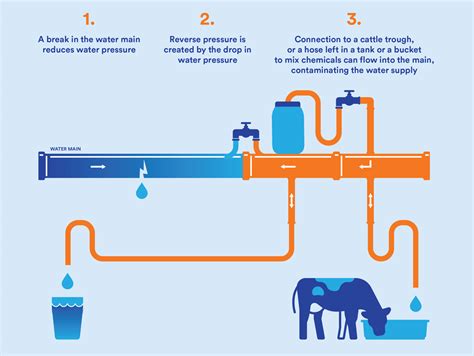 Backflow Westernport Water