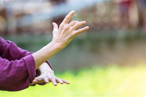 Premium Photo | Practice of tai chi chuan in outdoor