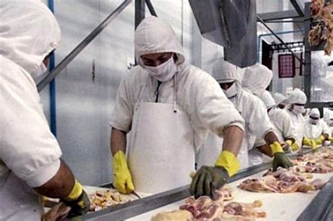 Se realizó la primera exportación argentina de carne avícola a Canadá