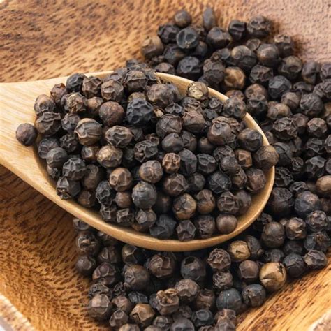 Variety Tellicherry India Black Pepper Seeds BB1 Quality 550 G L