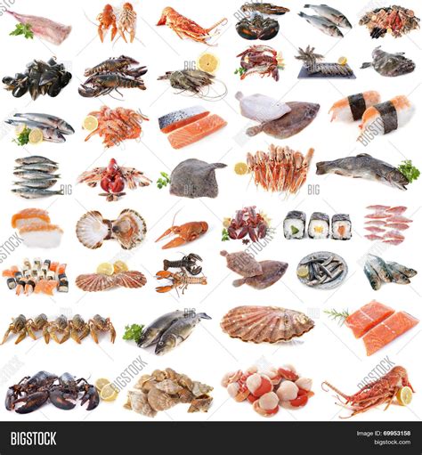 Top 96+ Pictures Seafood In The Sea Photos Latest