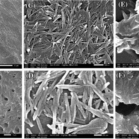 Sem Images Of A Mil Ti Mil Fe Binary Mof B Cnt C D