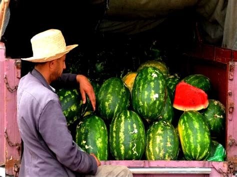 Maroc Les Habitants De Tata Vent Debout Contre La Culture De La