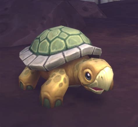 Squirt Turtle Wowpedia Your Wiki Guide To The World Of Warcraft