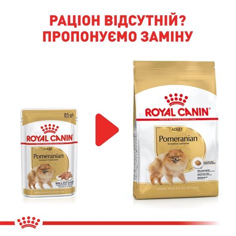 Вологий корм для собак Royal Canin Pomeranian Adult - вологий корм для ...