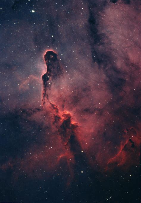 Best Elephant Trunk Nebula Images On Pholder Astrophotography