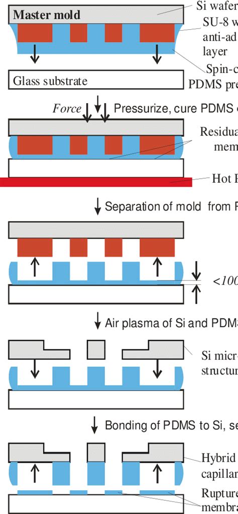 Fabrication Procedure Of A Hybrid Pdms Si Microfluidic System For