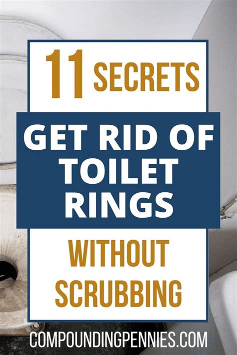 How To Clean Toilet Rings Once And For All Toilet Ring Cleaning