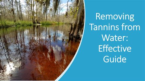 How To Remove Manganese In Water Effective Guide