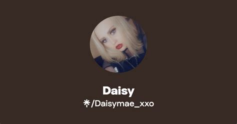 Daisy Instagram Facebook Tiktok Linktree