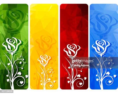 Blue And Yellow Roses Photos and Premium High Res Pictures - Getty Images