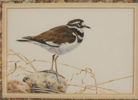 7 Framed Late 19th Century English Victorian Bird Watercolors For Sale