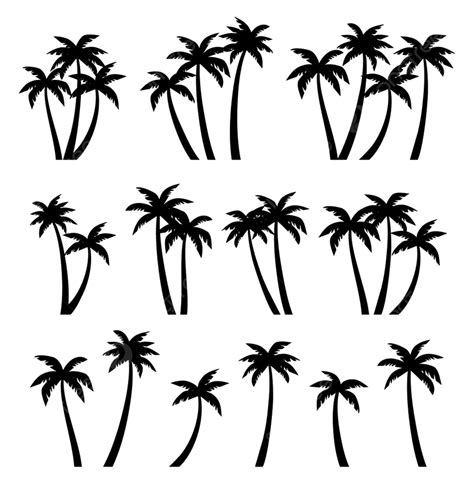 Palm Trees Silhouettes Set On Black Nature Png And Vector With