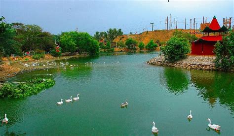 karachi-safari-park-lake - Zameen News