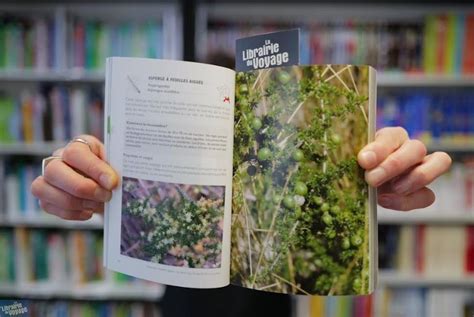 Les Editions Le Passage Guide Sauvages De Ma Rue Guide Des Plantes