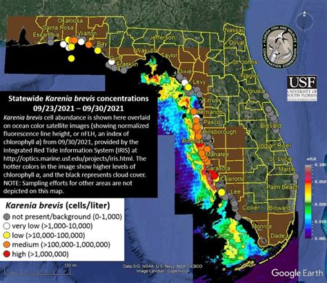 Red Tide Is Making A Resurgence In The Gulf And Tampa Bay Wusf Public Media