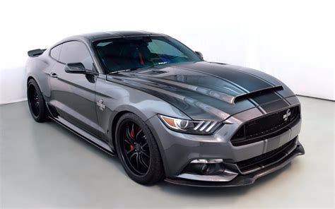 Shelby Super Snake Ultimate Guide