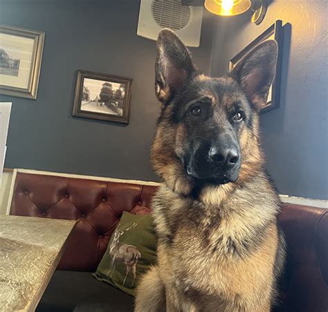 The Bar At The Bell Inn Rickinghall