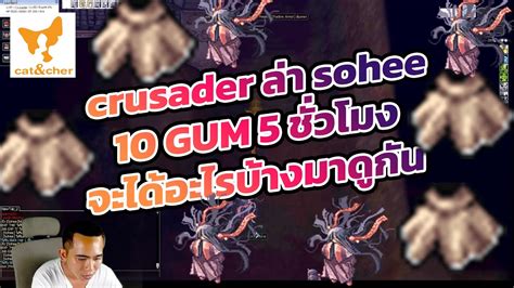 Ragnarok Classic Crusader Sohee Gum