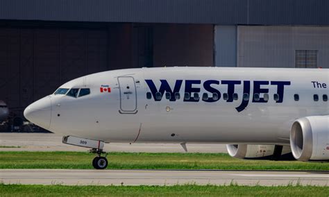 Westjet Workers In Toronto Sign First Collective Agreement Hrd Canada