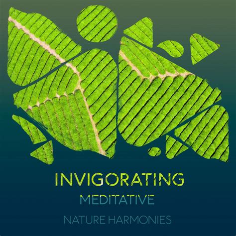 Zzz Invigorating Meditative Nature Harmonies Zzz Album By Relaxing