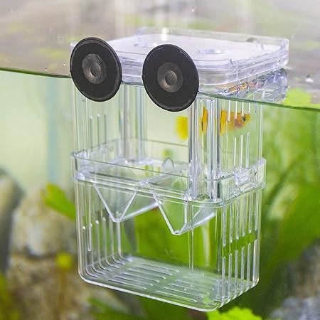 Amazon Capetsma Fish Breeding Box Acrylic Fish Isolation Box