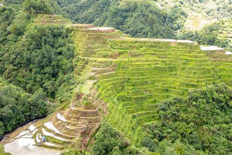 Rice Terraces Of The Philippine Cordilleras Drawing