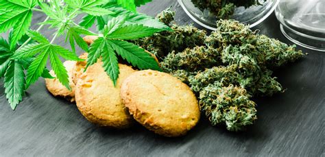 What the Heck is Cannabis-infused Edibles? - Jane Dummer RD