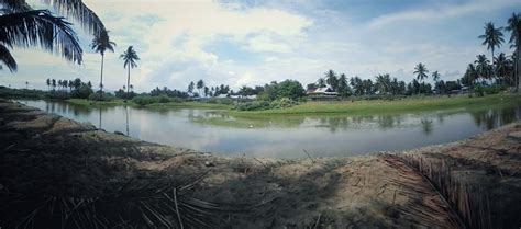 Menariknya Pantai Tanjung Buku Di Kec Mapilli Polewali Mandar Blog