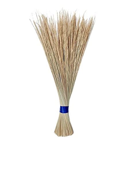 FLOOR CLEANING COCONUT BROOM 400 Size 42 At Rs 20 Piece In Dehradun