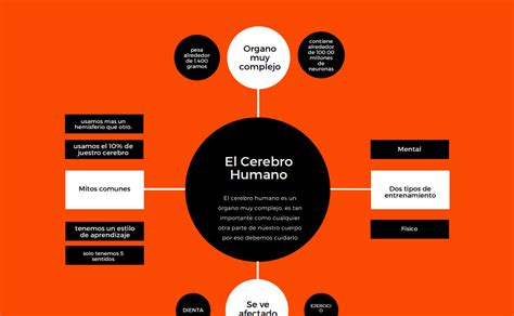 Resumen Del Articulo Mitos Sobre Elc Erebro Humano Mitos Sobre El