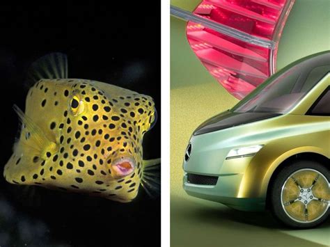 14 Smart Inventions Inspired By Nature Biomimicry Nature Inspiration