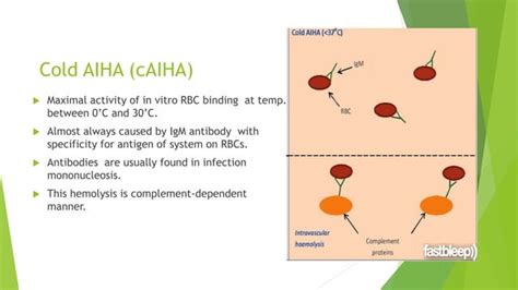 Autoimmune Hemolytic Anemia Aiha Ppt