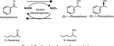 Figure From Effects Of Growth Media Ph And Reaction Water Activity On