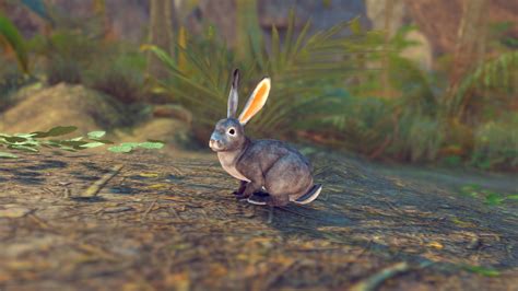 3D Model Realistic Rabbits VR AR Low Poly Rigged Animated CGTrader