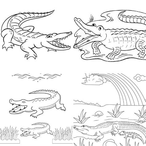 25 Free Alligator Coloring Pages for Kids and Adults