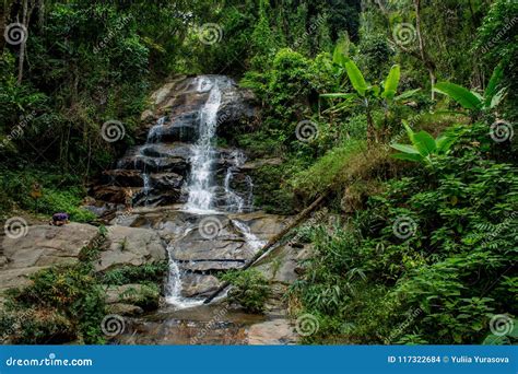 Waterfall In Green Jungle Tropical Forest Stock Photo Image Of