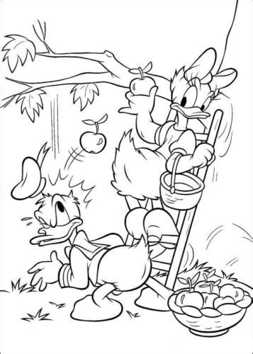 Coloring Pages Donald And Daisy Duck Coloring Page