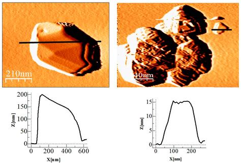 Polymers Free Full Text Direct Formation Of Sub Micron And