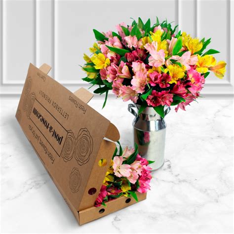 Letterbox Flowers Same Day Delivery London Best Flower Site