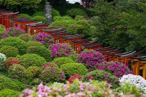 Japanese garden plants – awesome Japanese garden design ideas