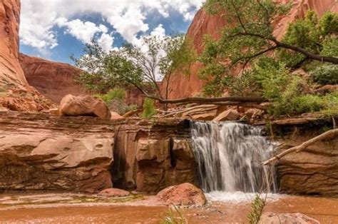 Backpacking Coyote Gulch In Grand Staircase Escalante Planning Your Trip