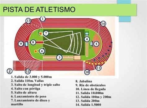 Qué es el atletismo Guía completa sobre el atletismo