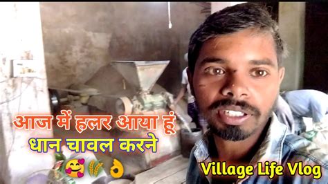 आज म हलर आय ह धन चवल करन vlog146 Village Life Vlog