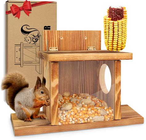 The Best Squirrel Feeder - CatTime